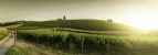 Vineyards in Tuscany - © Deyan Georgiev - Fotolia.com